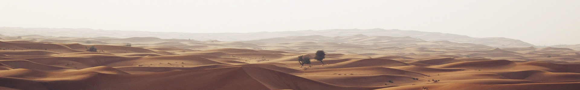 οƼ޹˾